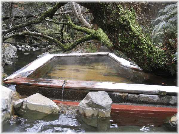 河津七滝温泉つりばし荘 檜露天風呂